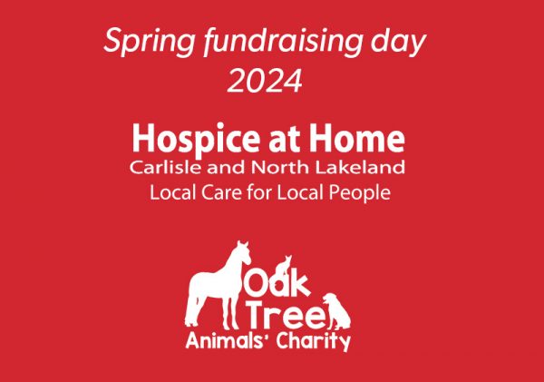 spring fundraising day